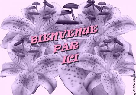 BIENVENUE